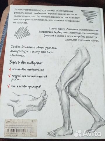 Книга по изучению анатомии Книга по изучению анатомии