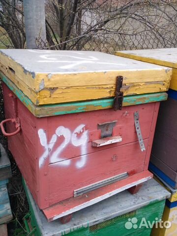 Ульи, тара под мед (ведро пластик), рамоносы, суш купить на Зозу.ру - фотография № 9