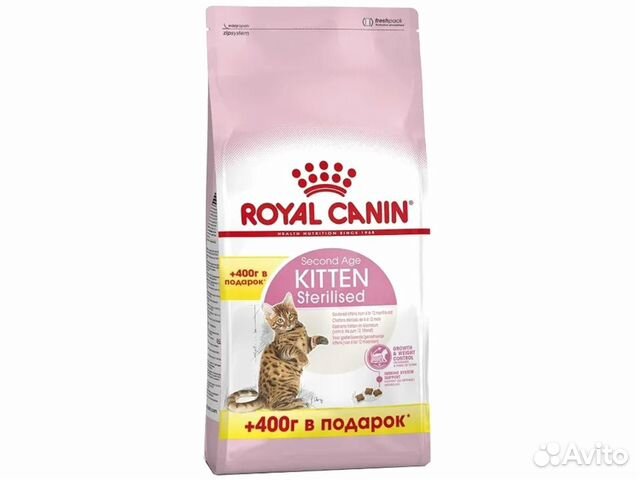 Корм для котят Корм для котят