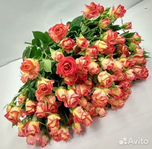 Букет из 21 красно-желтой кустовой розы, длина 50с