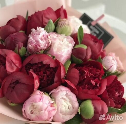 Букеты пионов