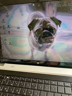 Ноутбук HP на ремонт или запчасти