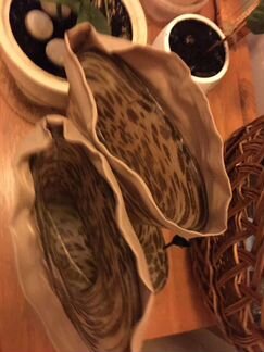 Сапоги резиновые цвет леопард