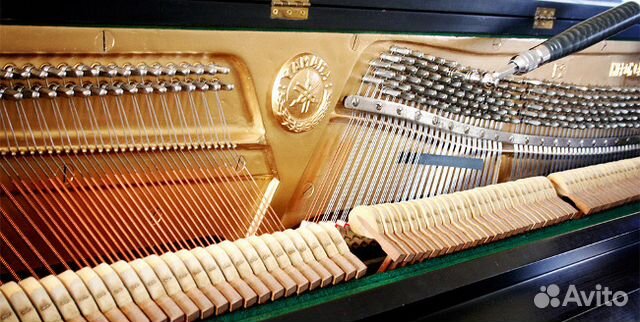 Услуги профессионального настройщика