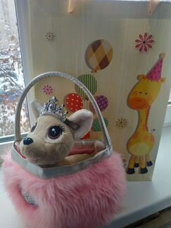 Чичилав собака