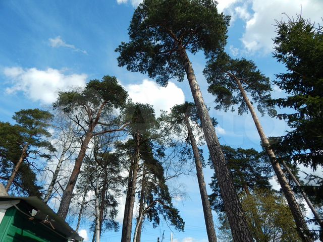 Дом 54 м² на участке 3 сот.