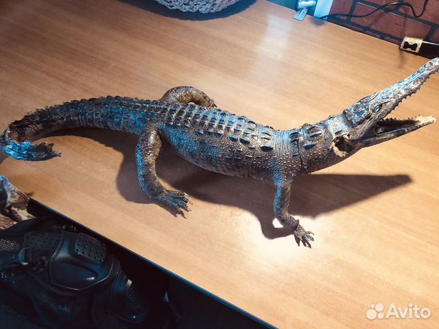 Аллигатор 90см