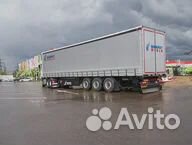 Полуприцеп шторный Mammut 93м3, 2023