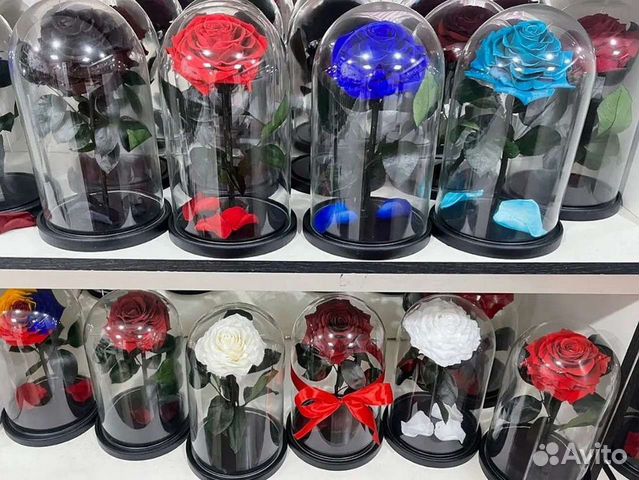 Роза в колбе