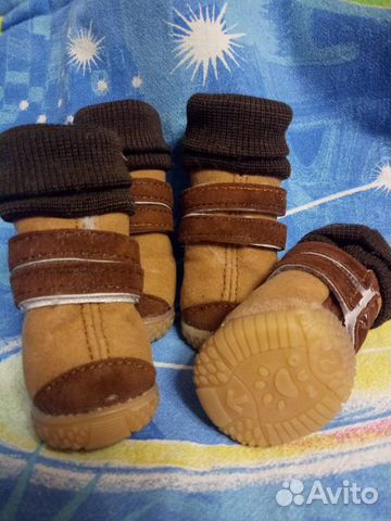 Обувь на собаку