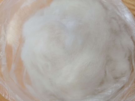 Собачий пух