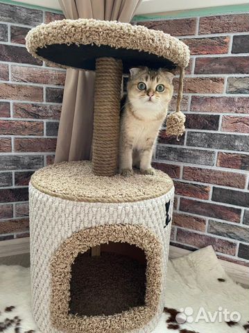 Домик - когтеточка, лежанка для котов(кошек) новый