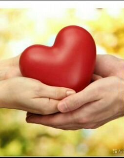 Сиделка. Помощь по уходу. Частное лицо