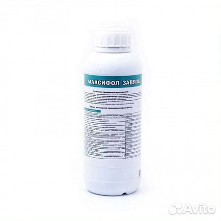 Максифол Завяз