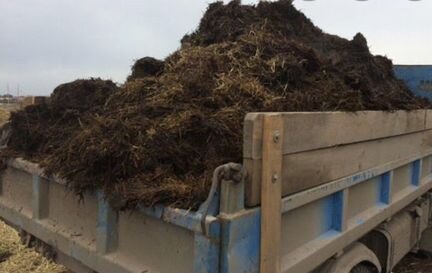 Плодородная земля, грунт, торф, чернозем