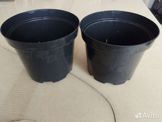 Горшки для рассады