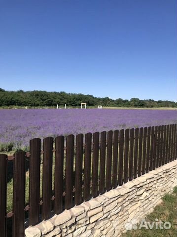 Гид на Юге России (Новороссийск, Анапа)