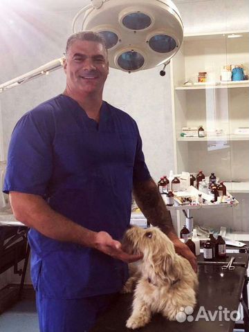 Ветеринарный врач