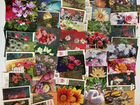 Карманные календарики Цветы 65 шт объявление продам