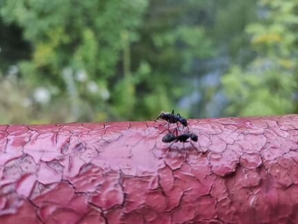 Промокоды Скидки Мвидео бесплатно по всей РФ