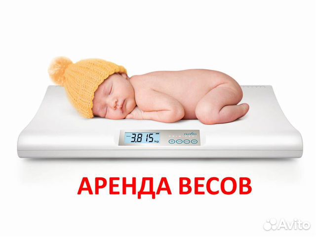 Весы детские прокат