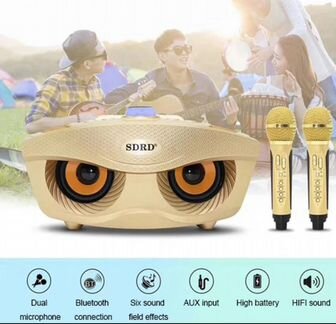 Портативная караоке система с двумя микрофонами