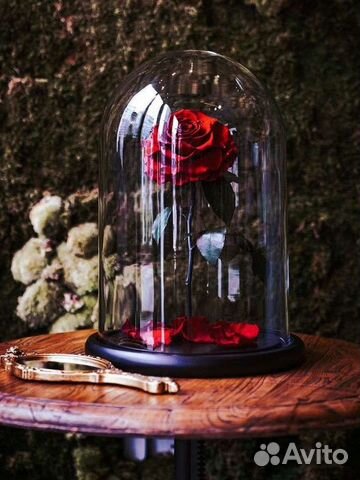 Роза в колбе(5лет) и лучший подарок на праздник