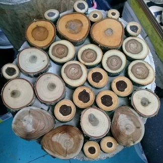 Спилы для декора