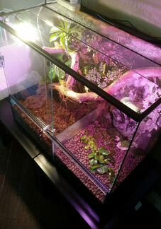 Террариумы для больших рептилий