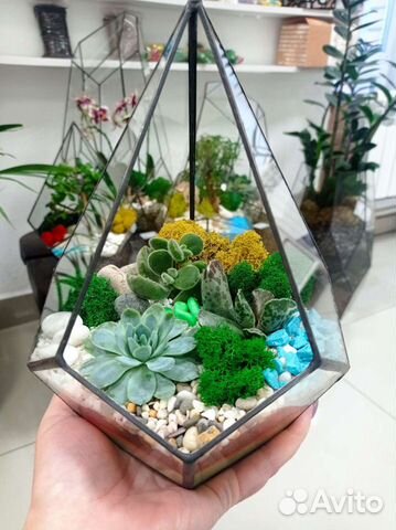 Подарки, флорариум