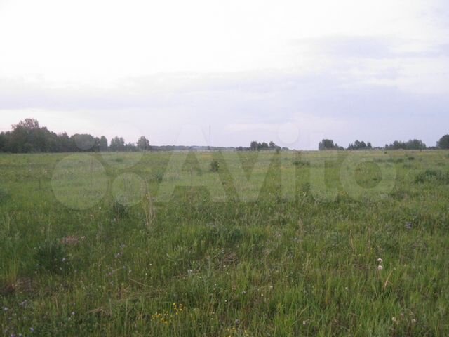 Участок 15 га (СНТ, ДНП)