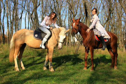 Конные прогулки