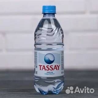 Можно воду без газа. Tassay ГАЗ 0,5л./12шт. Тасай. Минеральная вода Tassay. Казахская вода минеральная Tassay. Tassay мин вода без газа 1л.