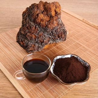 Чага натуральная