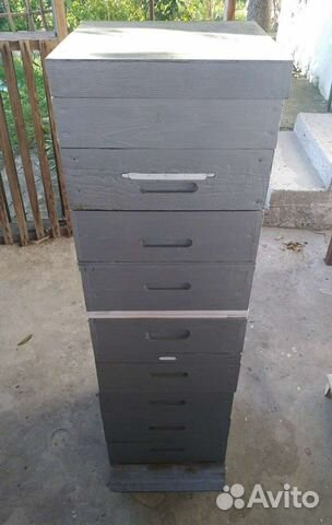 Улей нуклеус