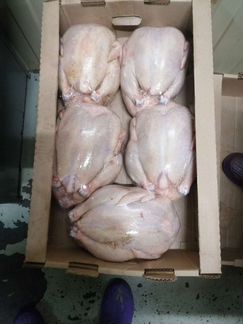 Мясо гуся, бройлер, утка, мулард