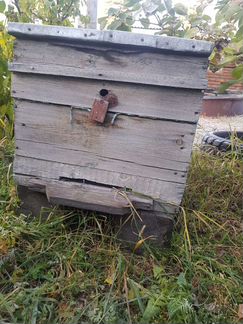 Улей для пчел