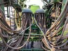 Зерновая сеялка Amazone Cirrus 6001 Special объявление продам