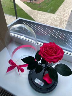 Роза в колбе