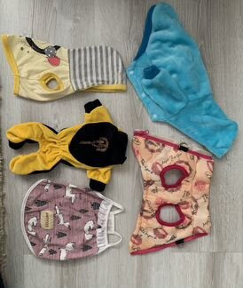 Одежда для чихуахуа девочка мини