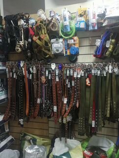 Ошейник для собак в ассортименте