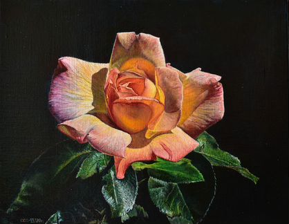 Картина маслом Роза