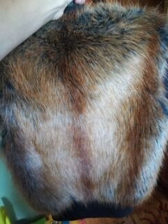 Жилетка меховая