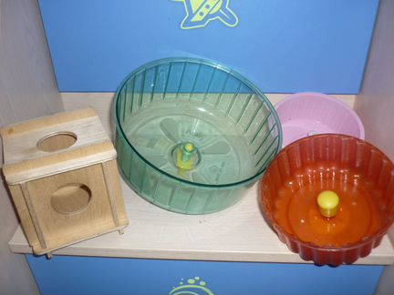 Клетки для джунгарских хомяков и аксессуары к ним