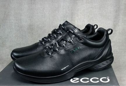 Ecco biom