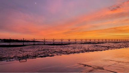 Авторские фотографии Galina Villano USA 2020 год