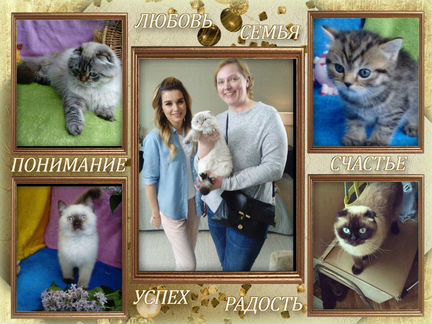 Бейби фейс голубые глаза