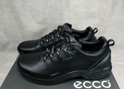 Ecco biom