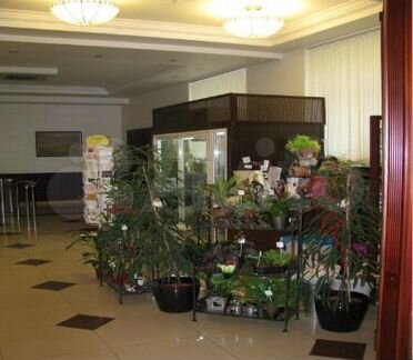 Сдам Офисное помещение, 166.50 м²