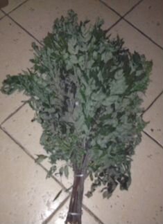 Веники березовые, липовые, рябиновые